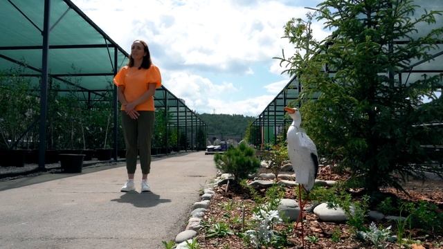 ВОПРОС ПРО... Планировка сада - варианты схем расположе