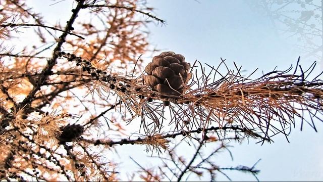 Ирина Савина, воспитатель Школы № 1474. Выпуск 8. Как узн?