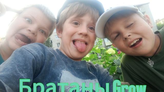 братаны Grow
Brothers Grow
трек смотреть онлайн