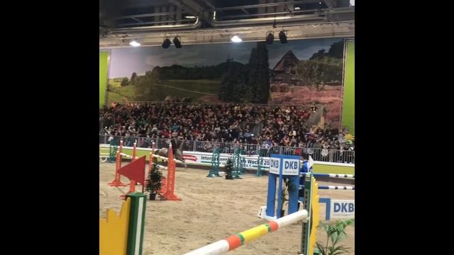 Grüne Woche In Berlin 2020 Зелёная неделя в Берлине 2020