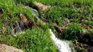 Родина моя малая  музыка и исполнение Олег Сапегин,слова Татьяны Гусевой
