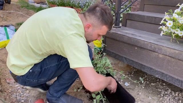 Посадка в кашпо однолетники. Лайфхаки