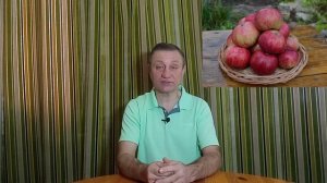 Сорт яблони Анис полосатый