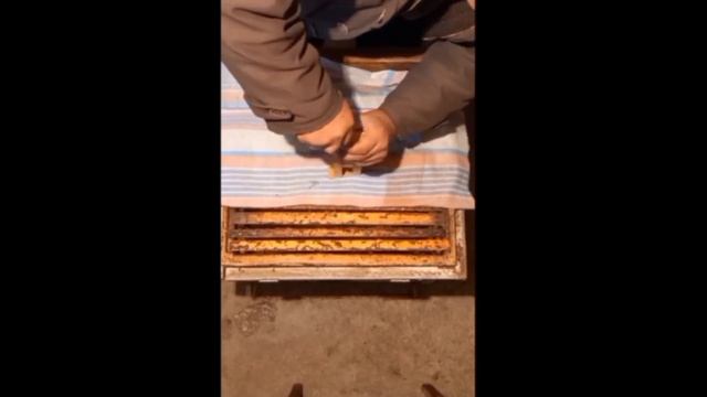 Как сделать обогреватель для пчелиных улей? смотреть онлайн