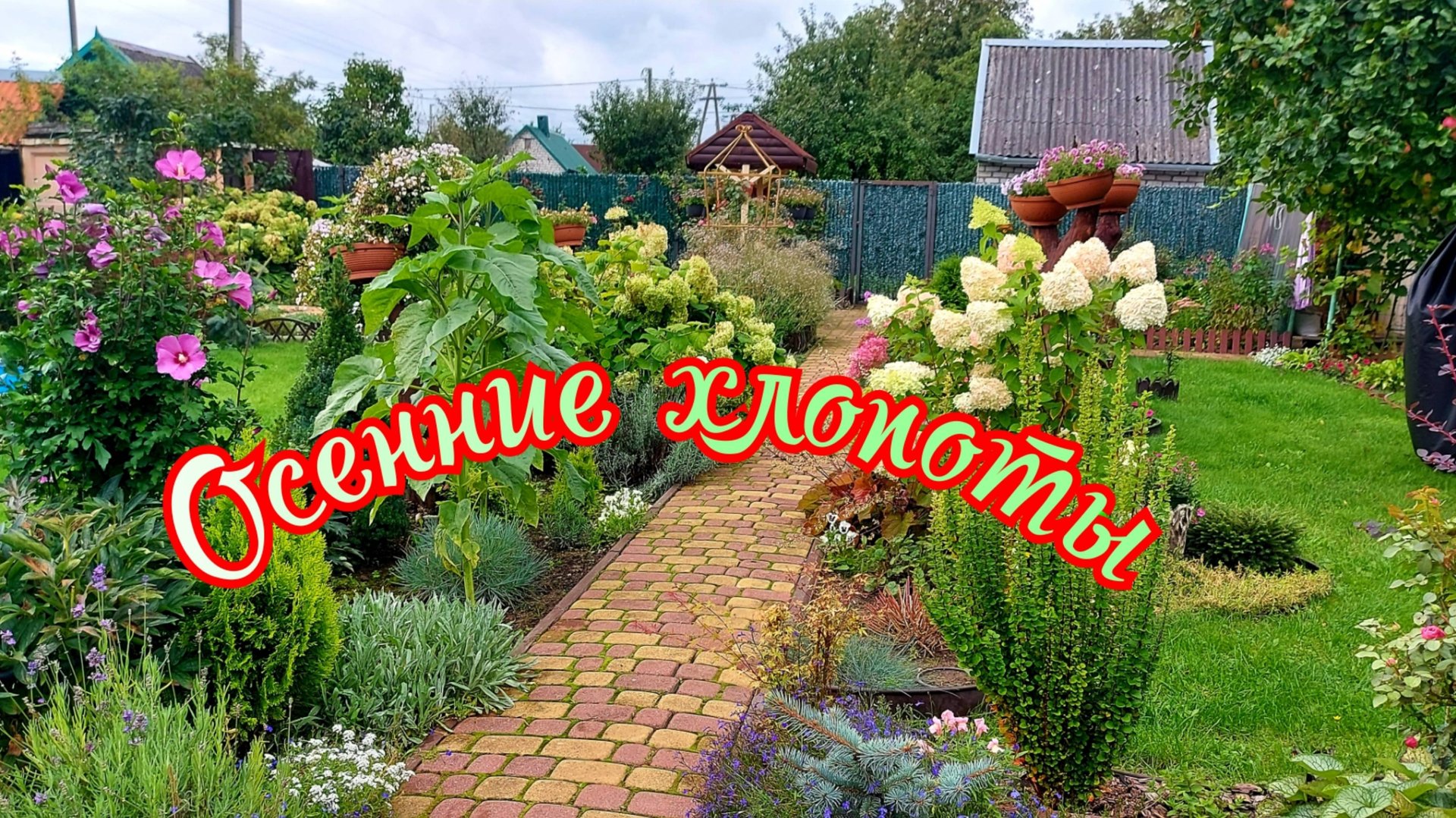 Посадки,пересадки,переделки-мой девиз осени🙃🌸🌲 смотреть онлайн