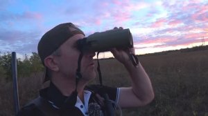 Охота на куропатку с шести утра