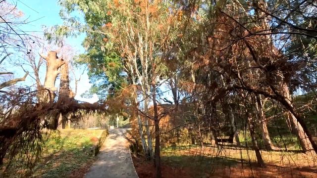 Семён практикуется в фотографии / Зимняя прогулка по к