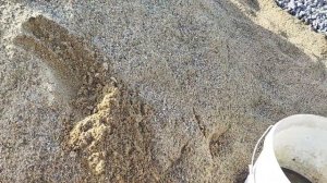 Добавляю песок в тяжёлую почву. Продолжаем улучшать с?