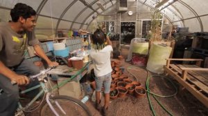 Обитатели - пермакультурная перспектива