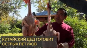 Китайский дед готовит двух острых петухов