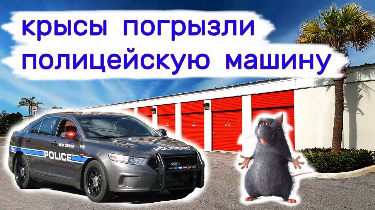 Нашли ящики украшений на брошенном складе. смотреть онлайн