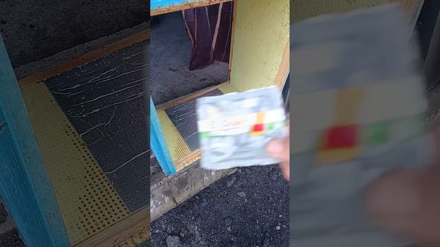 Дезинфекция улья ППС