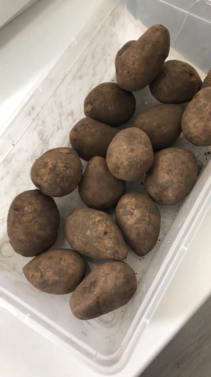 Как сохранить картофель без глазков и проростков смотреть онлайн