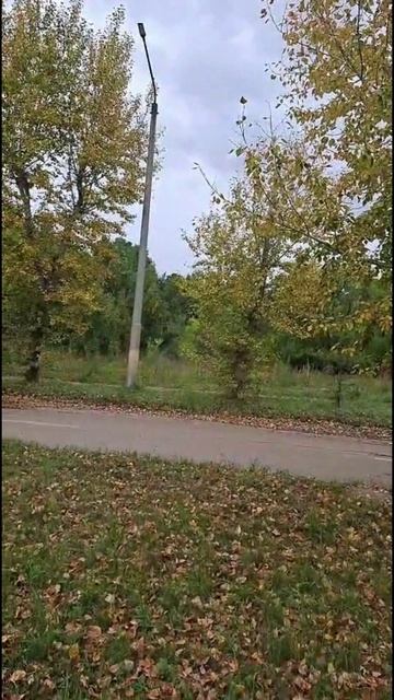 Осень от Классика Вована!