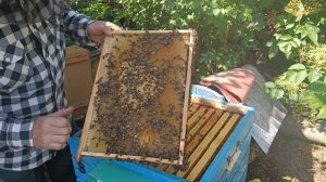 Противороевой отводок. Чтобы не улетели!