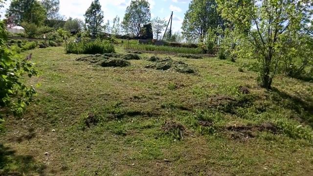 Дела огородные| трава скошена| смотреть онлайн
