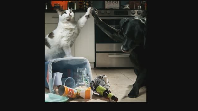 Аудио газета прикол.