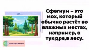 УРОК 6|7 класс. Отдел Моховидные