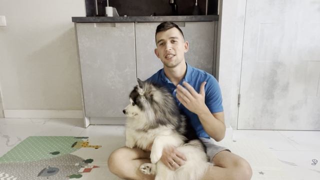 Двигаемся с Фиником в рекомендации. Требования Rutube.