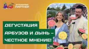 🍉 Отправляемся в самую сладкую теплицу Агрофирмы Партнер с Виталием Декабрёвым!