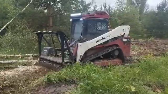 Мини-погрузчик с мульчером смотреть онлайн