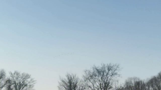 ПЕРВАЯ НОЧЁВКА В ЛЕСУ В ЭТОМ ГОДУ! Пасека вместо нашей смотреть онлайн