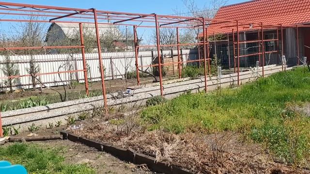 Готовимся к Пасхе. Не дают мне работать на кухне... Прог