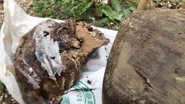 Ищу где на 1000 рамок хорошую вощину из воска найти смотреть онлайн