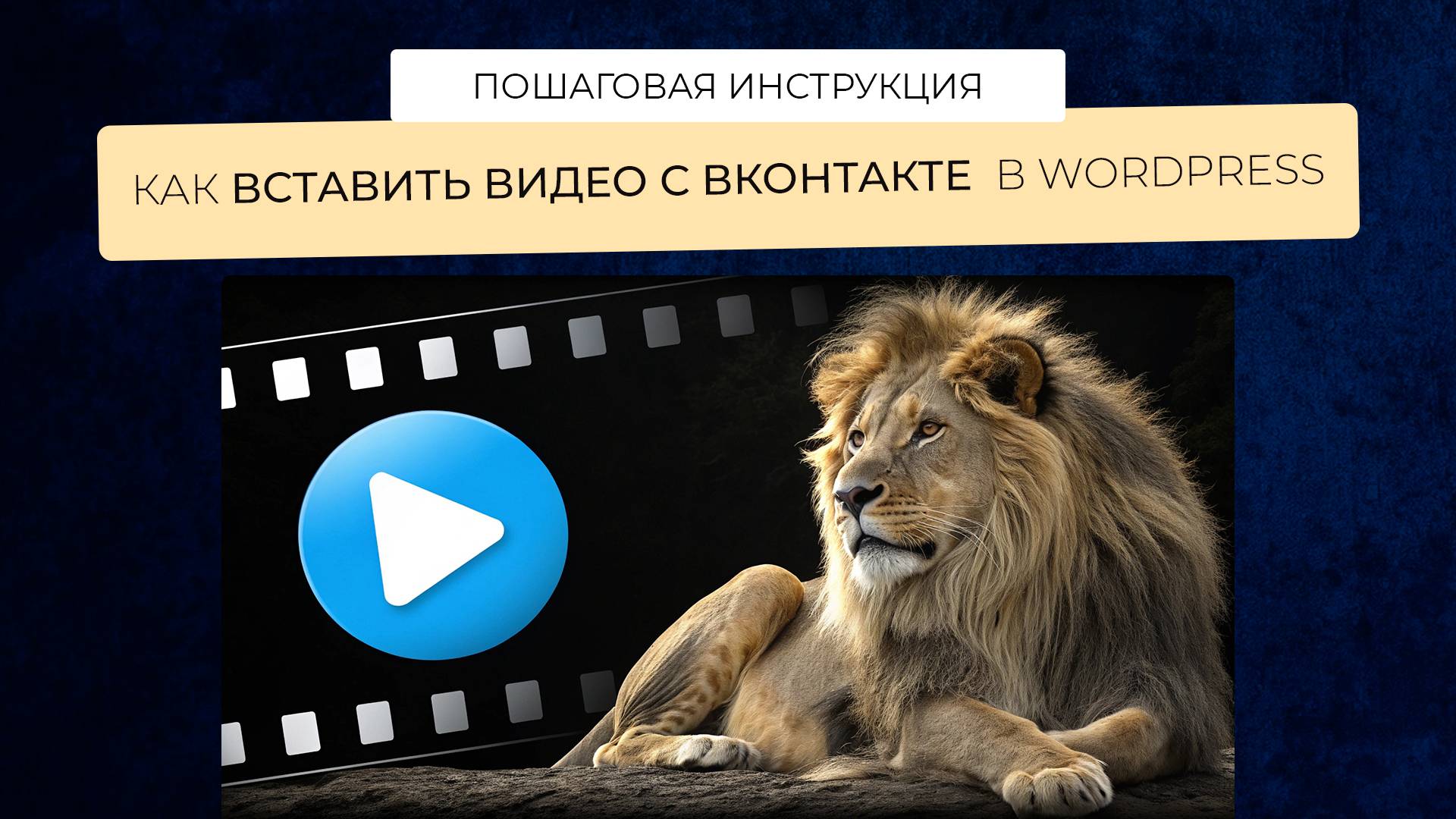 Как вставить видео с VK в Wordpress пошаговая инструкция смотреть онлайн