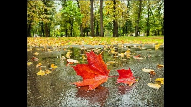 Владимир Толмачев. Скучная осень смотреть онлайн