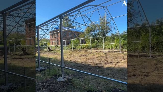 🌸🌳 Владимир станет ещё зеленее и краше! смотреть онлайн