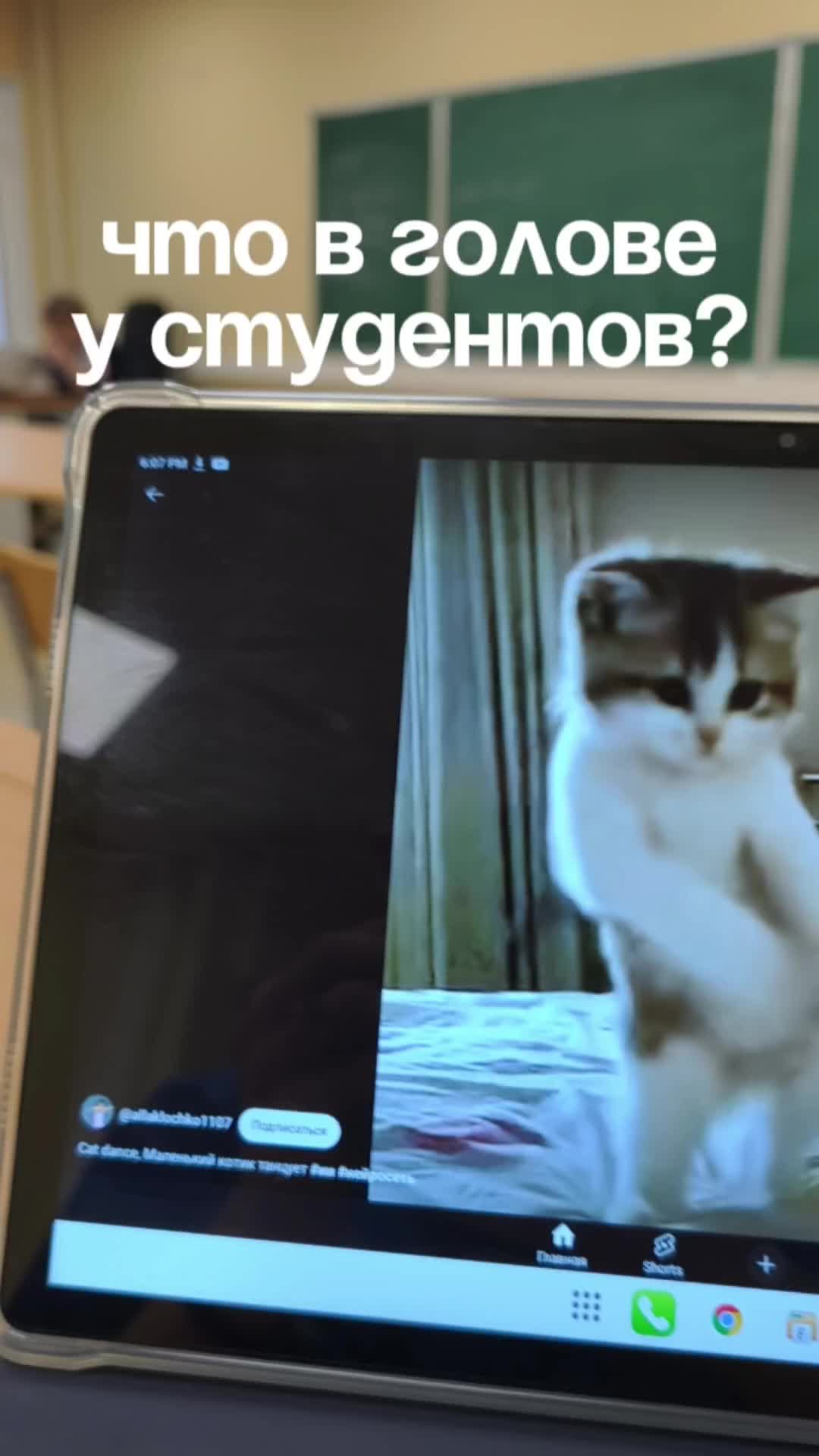 Что в голове у студентов?