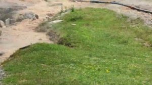 Абхазия 2025. Garuda beach Village. Сухум