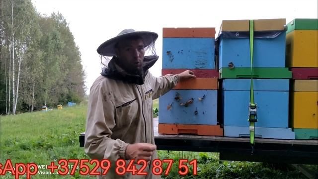 Перевозка пчел ППС осенью