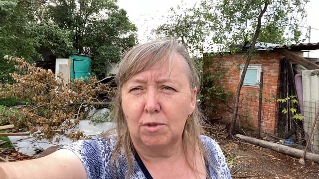 ВЛОГ/ПОЕХАЛИ НА ДАЧУ/ДОЖДЬ МЕШАЕТ РАБОТАТЬ/НЕ ГОТОВЛЮ,