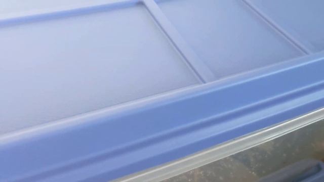 Сделали три школки с черенками: инжира, маракуйи и пак?