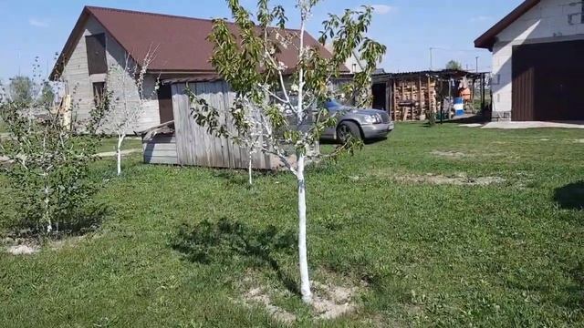 ОБРОБІТОК САДУ ХОРУС СКОР АКТАРА смотреть онлайн