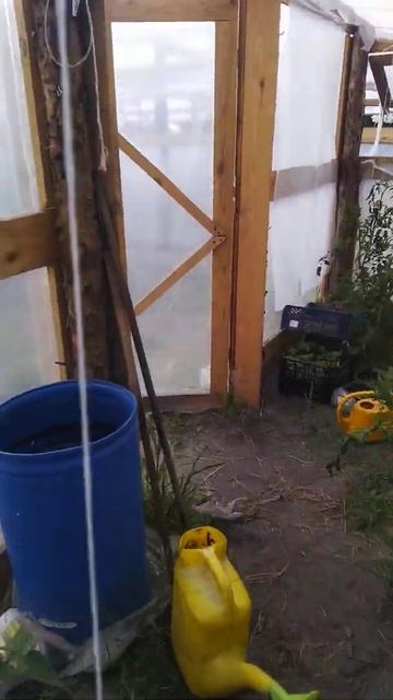 теплицы из дерева