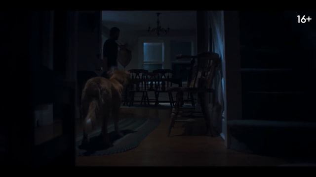 Глазами пса — Русский Трейлер (Дубляж, 2025) смотреть онлайн