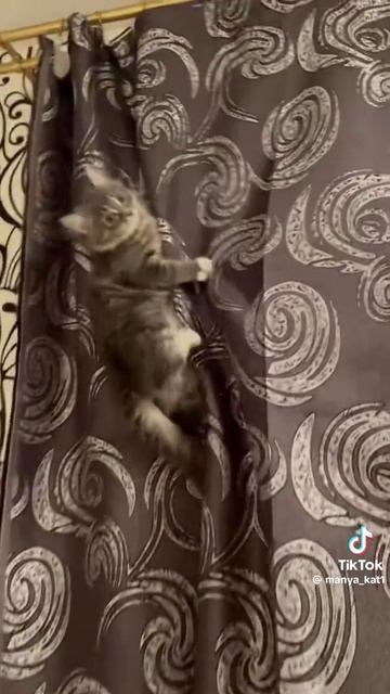 Альпинист! 🙂 смотреть онлайн