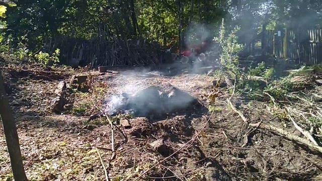 Убрал пни смотреть онлайн