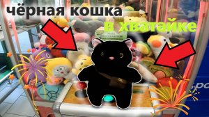 Выиграл чёрную КОШКУ в любимом АВТОМАТЕ-ХВАТАЙКЕ!!! КОШКА в АВТОМАТЕ-ХВАТАЙКЕ🐈⬛