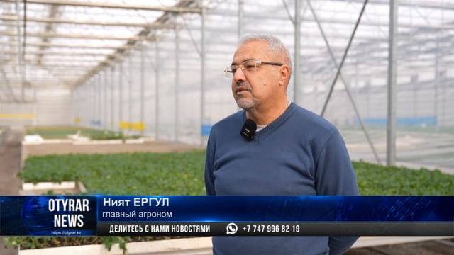 Аграрии внедрили технологии в тепличное хозяйство и с смотреть онлайн