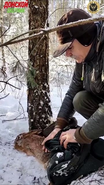 Дед Мазай спешит на помощь смотреть онлайн