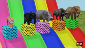 😱🔥Long Slide Game 🔥😱 вместе с забавными животными 🐯🐮🪿🐘🦓🦬