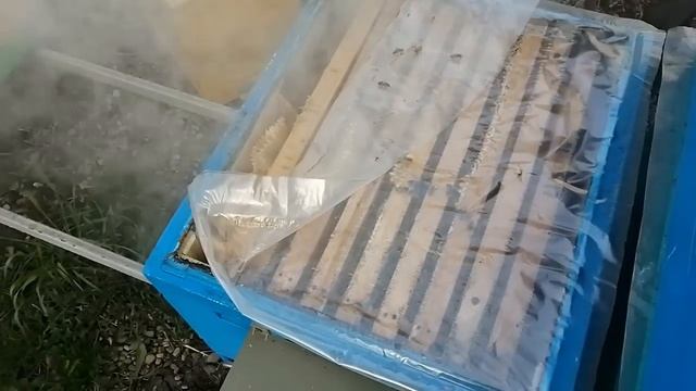 Апрель Первое расширение Наличие расплода спустя мес? смотреть онлайн