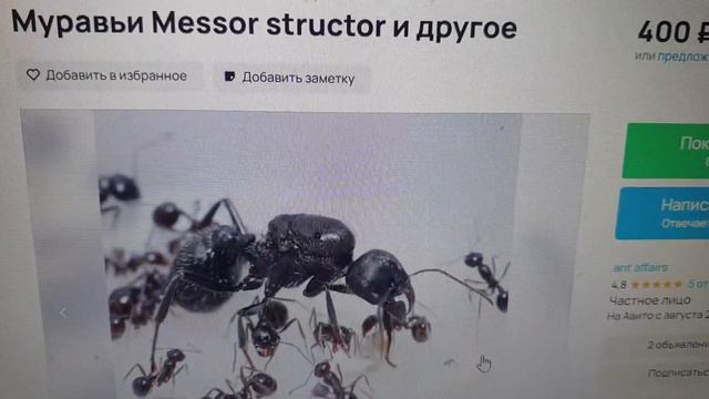 Деревенский блокнот уничтожил бизнес!