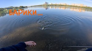 Ультралайт. Борисовские пруды. Осень 2025. 10 сентября.