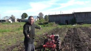 КАРТОШКА 2025