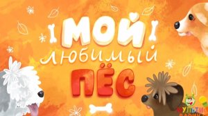 мой любимый 🐕